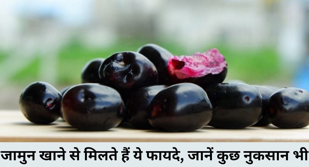 जामुन खाने से मिलते हैं ये फायदे, जानें कुछ नुकसान भी(फोटो-Sportskeeda hindi)
