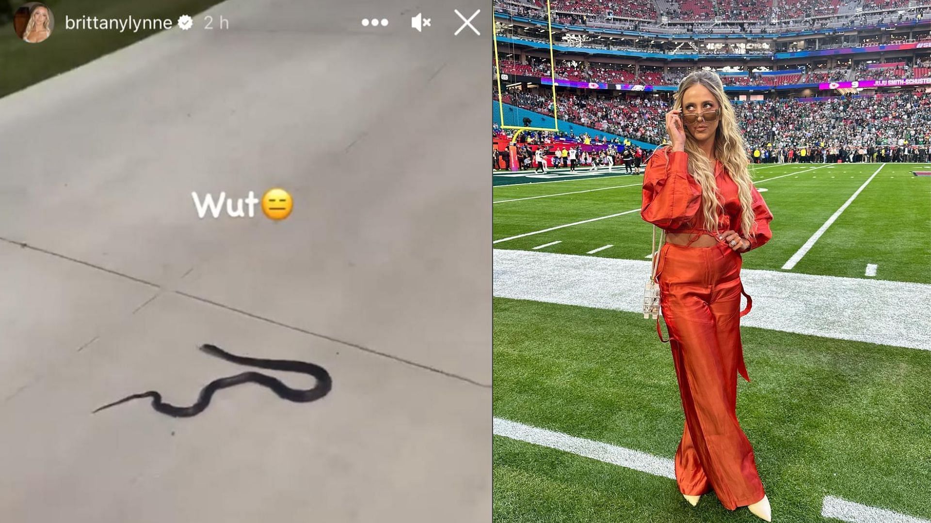 Brittany Mahomes spotted a snake on her property. 