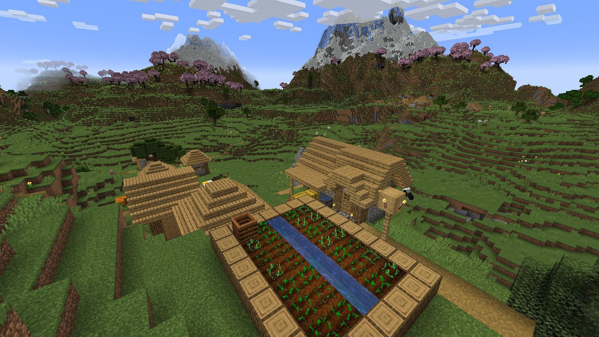 Minecraft 1.20&#039;s cherry grove biome is accessible from the get-go in this seed (Image via Mojang)