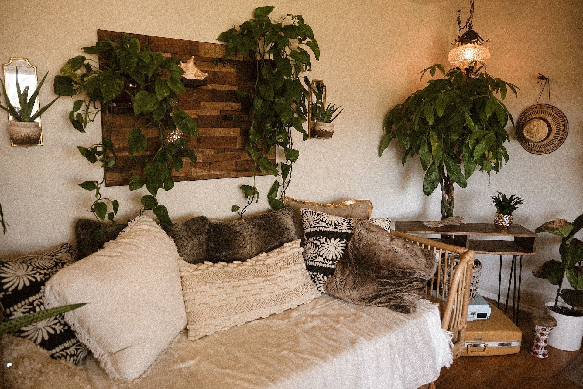 Indoor plants can improve mood. (Photo via Pexels/Wendy Wei)