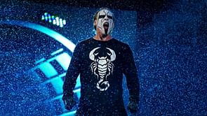 Sting leaping off a ladder through a table - sensible or stupid?