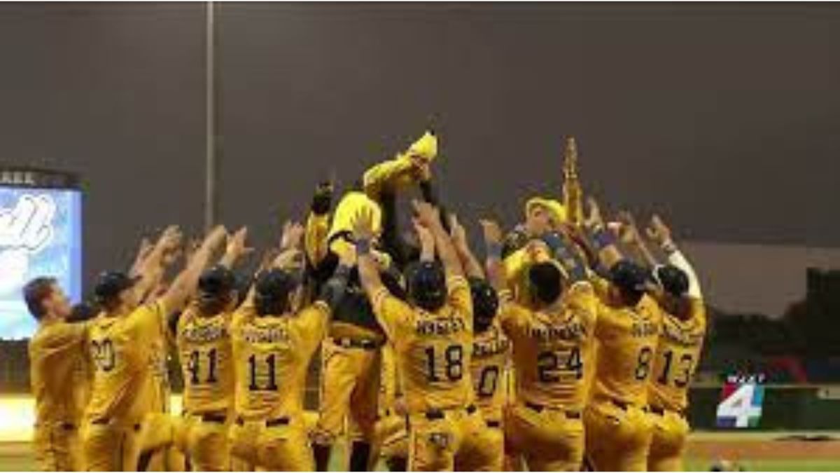 WATCH Fans cannot stop chuckling at Savannah Bananas' ABBA tribute in