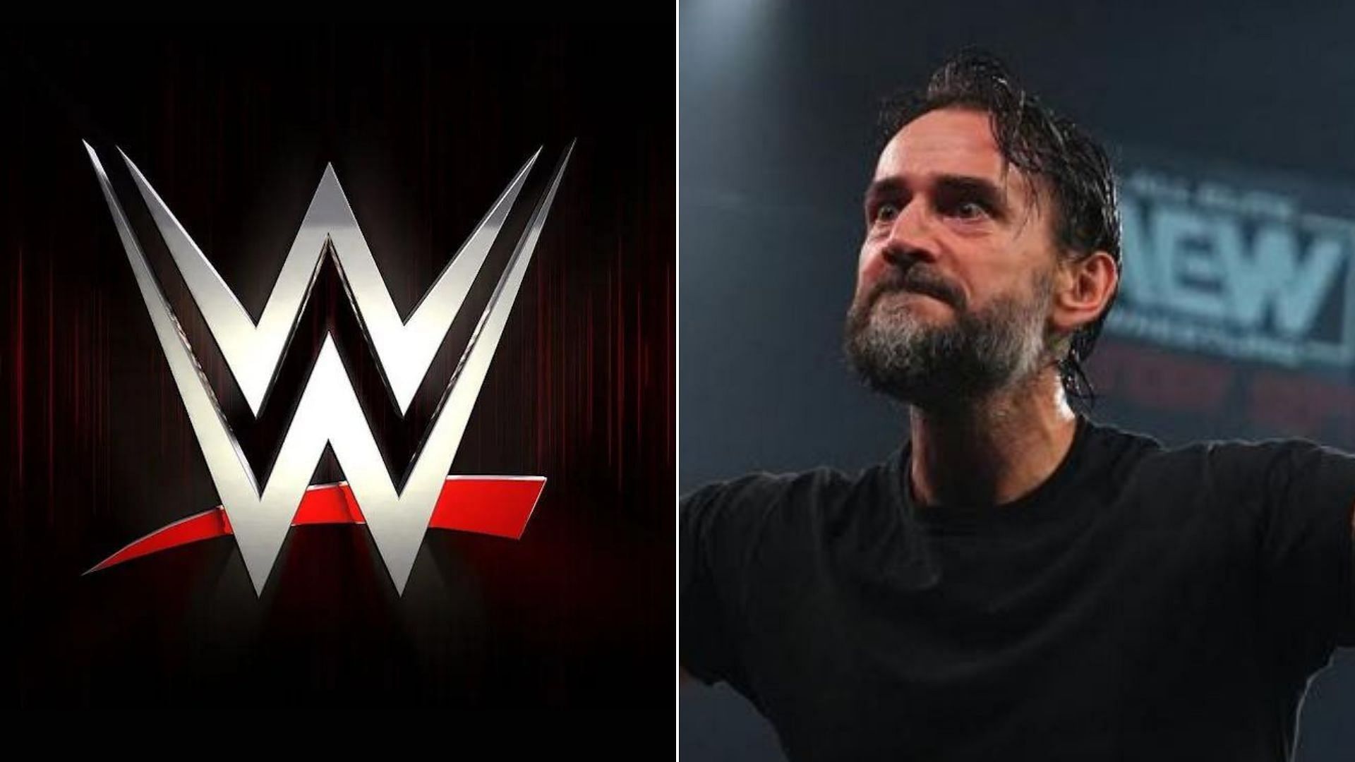 WWE logo (left), CM Punk (right)