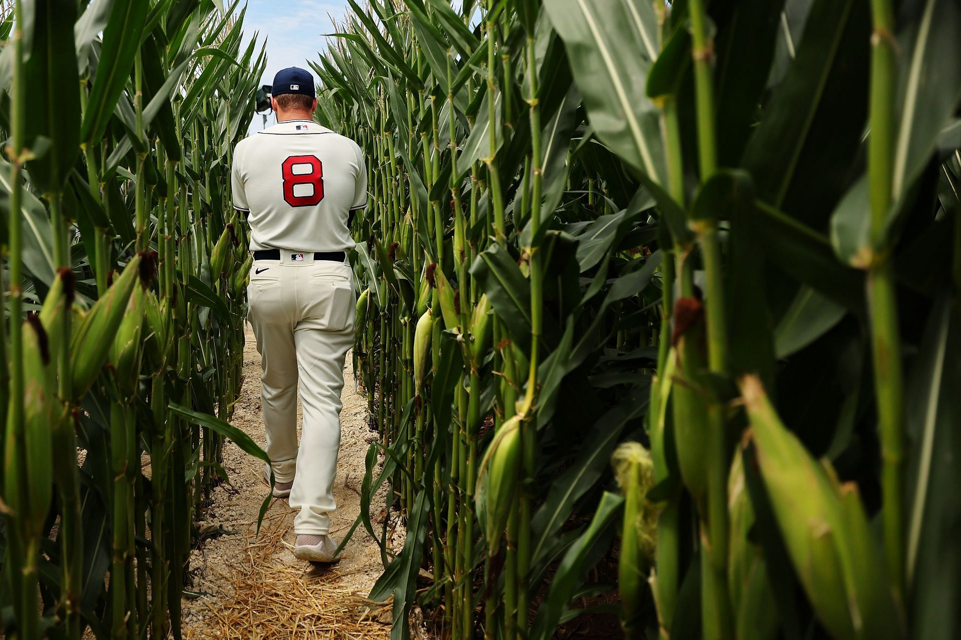 MLB Rumors: Giants-Cardinals to Play 2024 'Field of Dreams' Game