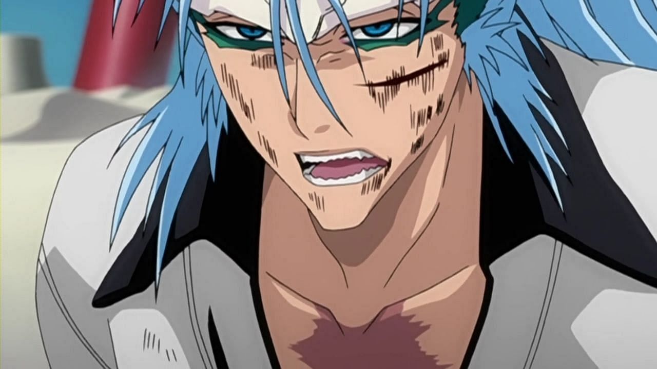 Grimmjow Jaggerjaquez&#039;s post-release form as seen in the series&#039; anime (Image via Studio Pierrot)