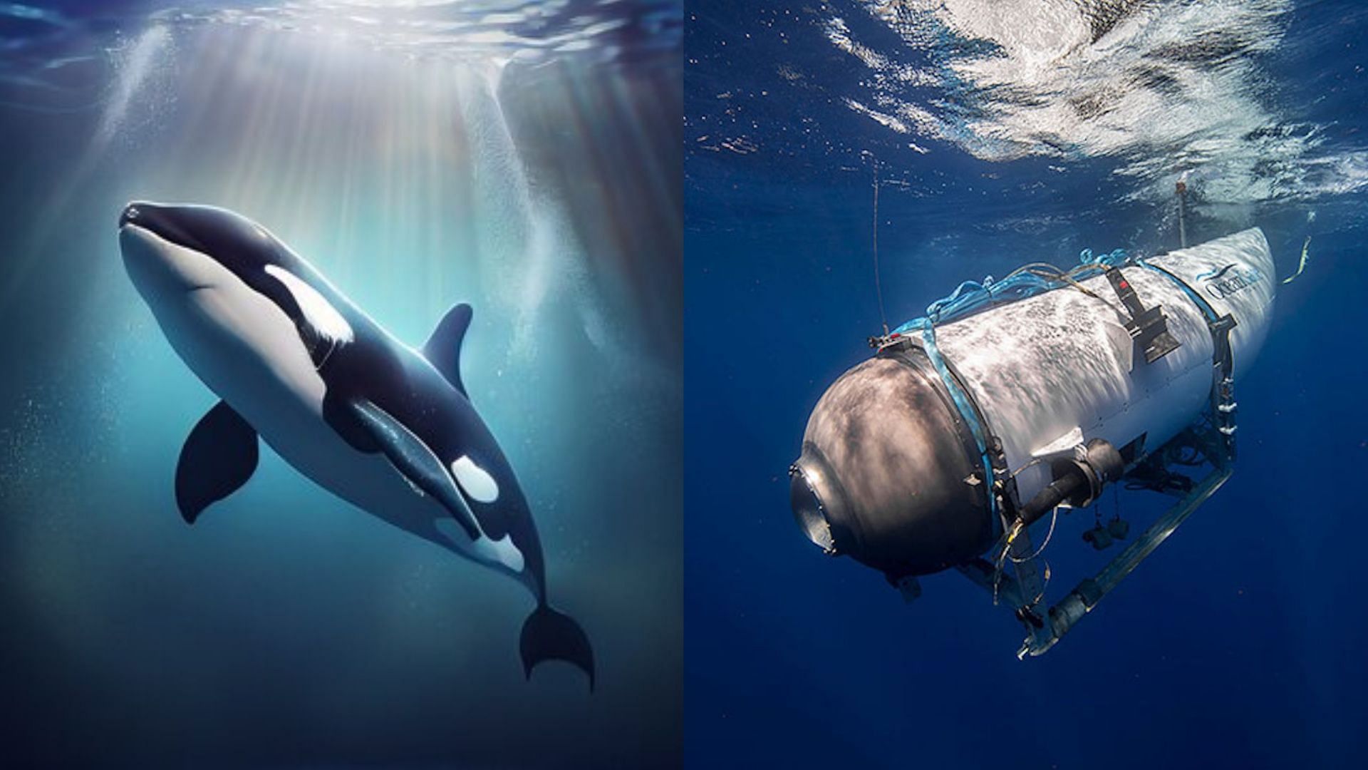 Experts debunk social media theory about Killer Whales being responsible for the missing Titan submersible. (Image via Adobe Stock, OceanGate)