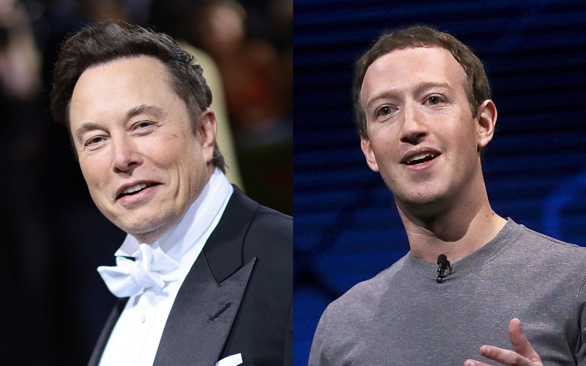 Elon Musk vs. Mark Zuckerberg UFC: Does Elon Musk know MMA? Comparing ...