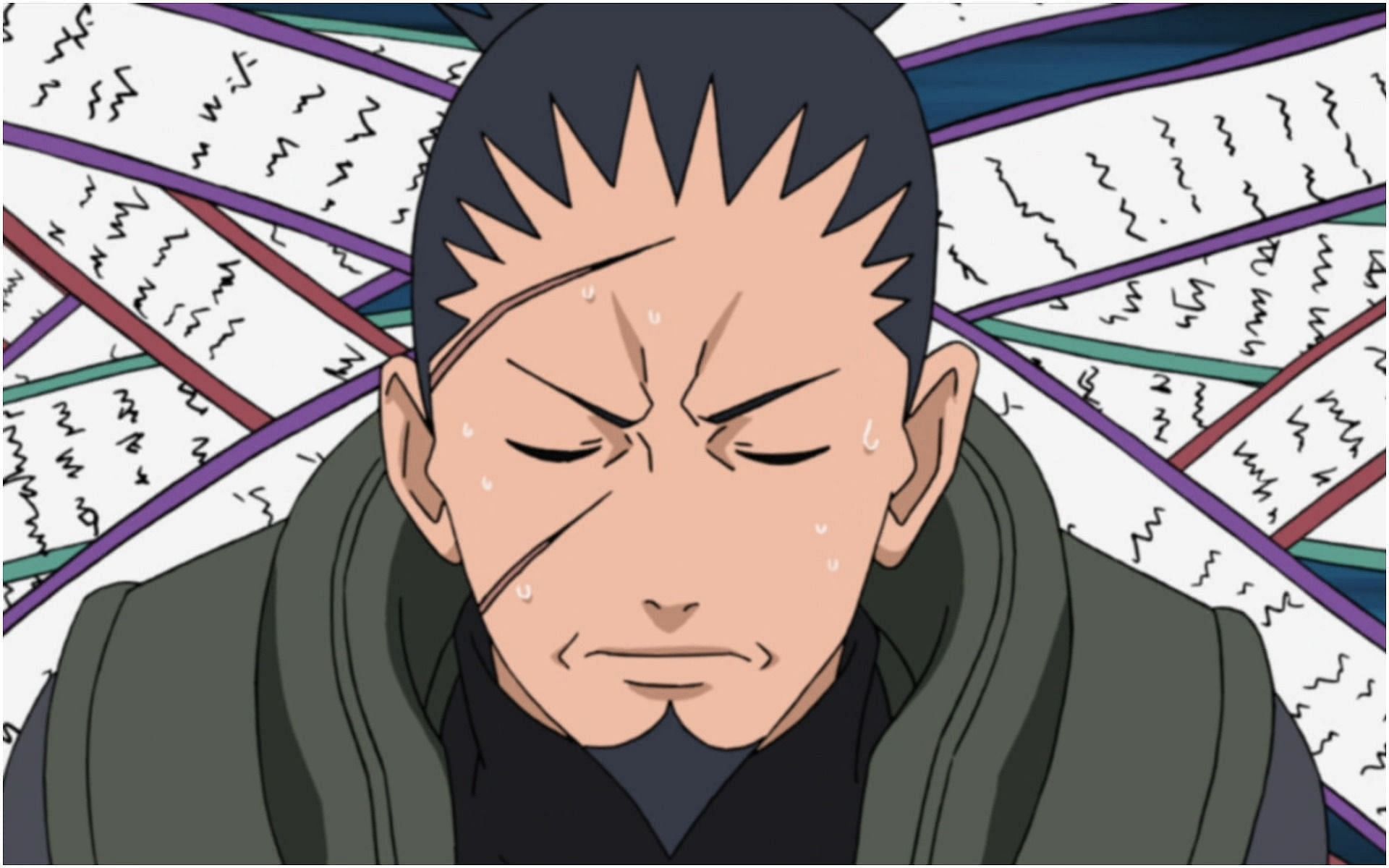 Shikaku Nara in Naruto (Image via Pierrot)