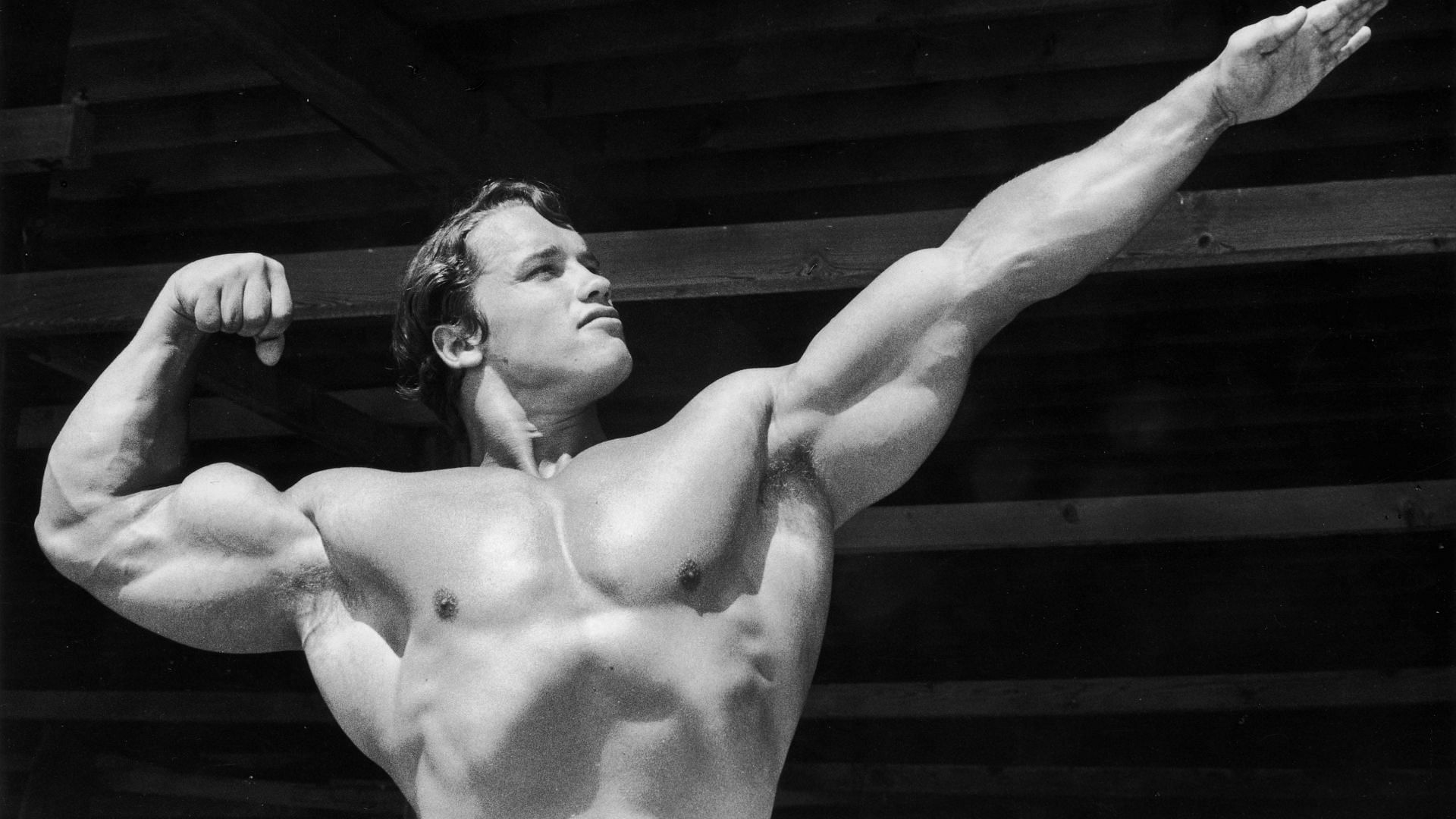 Arnold Schwarzenegger&#039;s ab workout staples. (Image via Pxfuel)