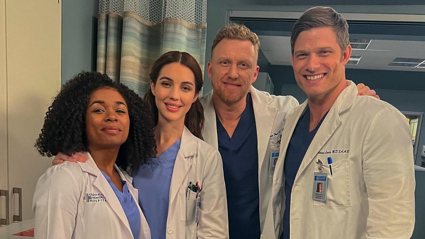 How many seasons of Grey's Anatomy are there?