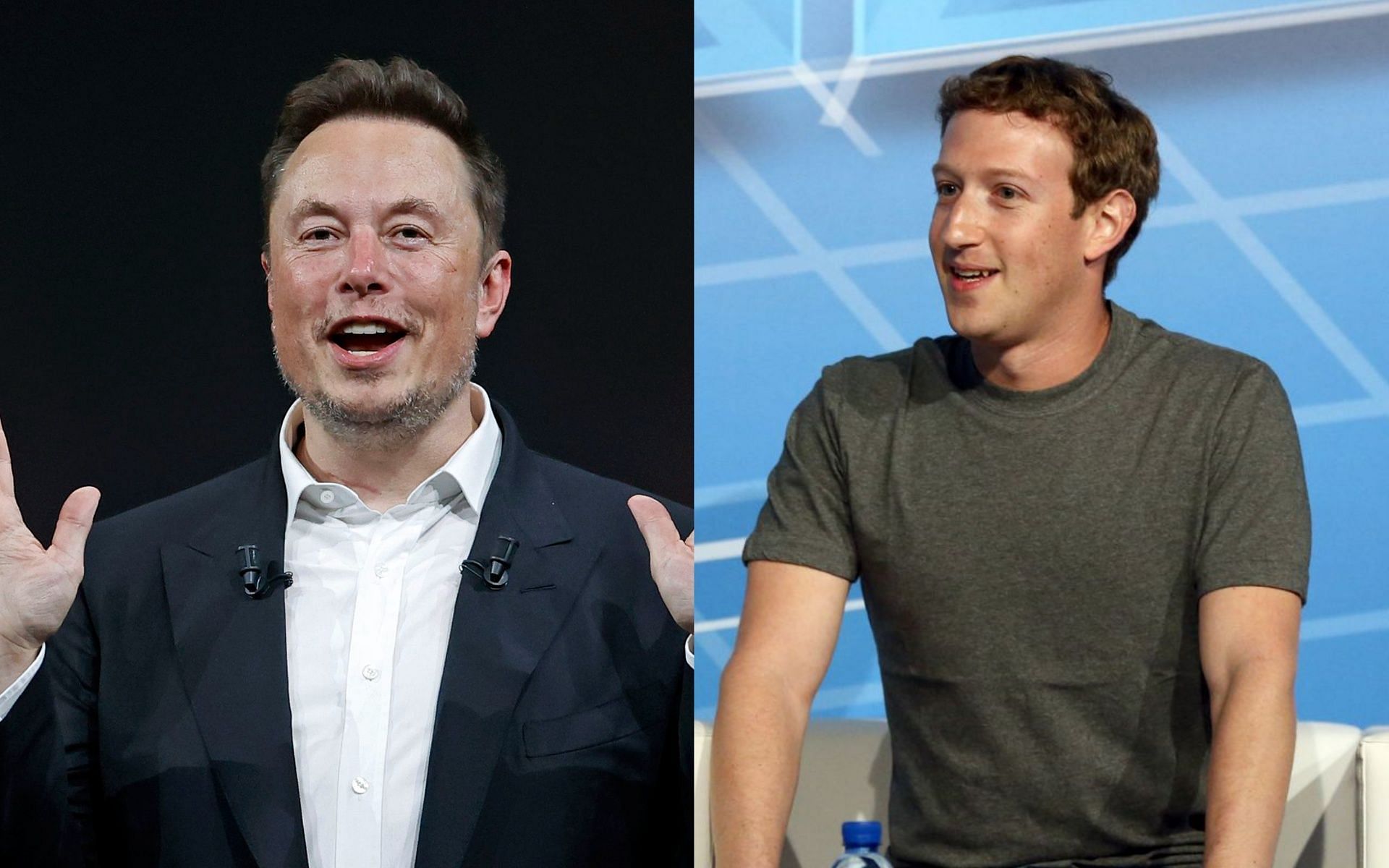 Zuckerberg Vs. Musk: We Asked Google AI Who Would Win An MMA Fight ...