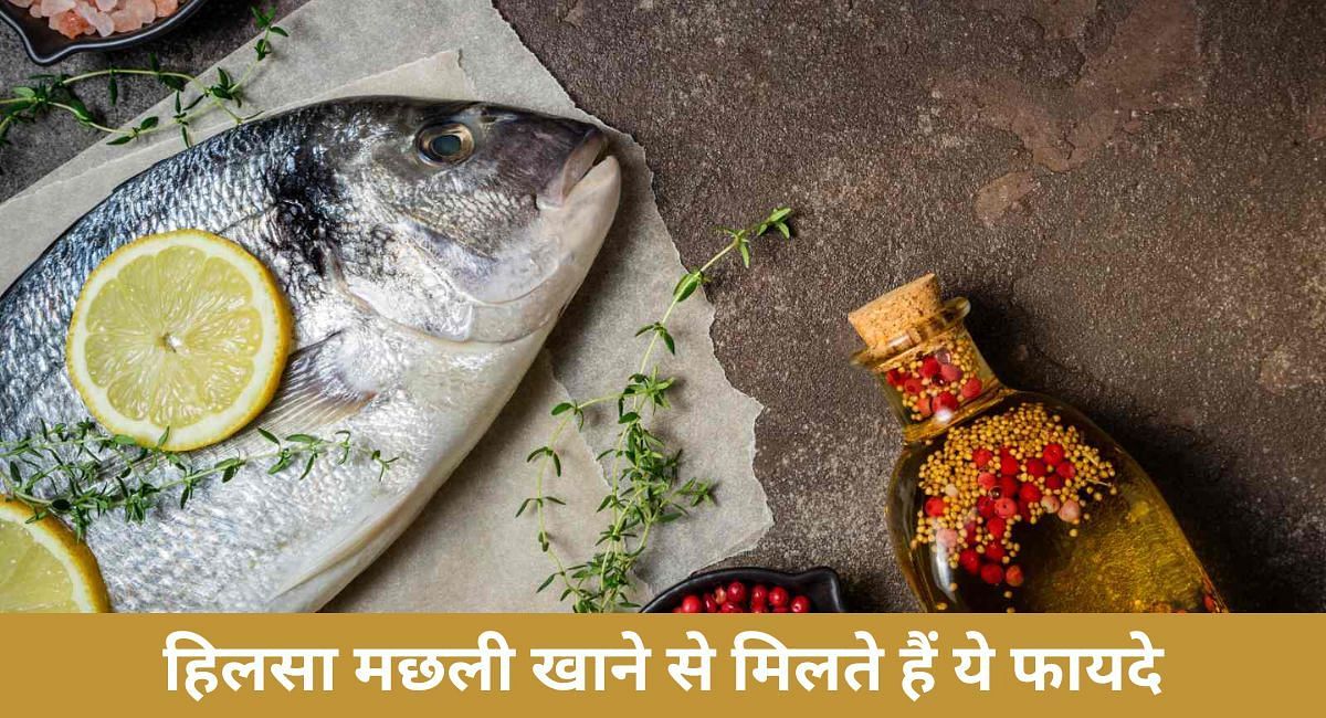 हिलसा मछली खाने से मिलते हैं ये फायदे(फोटो-Sportskeeda hindi)