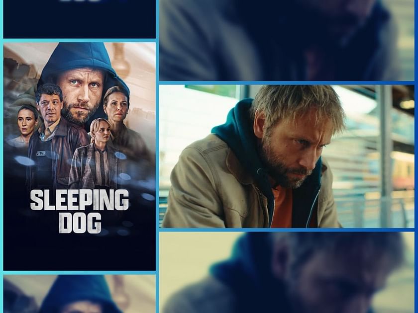 Watch Sleeping Dog  Netflix Official Site