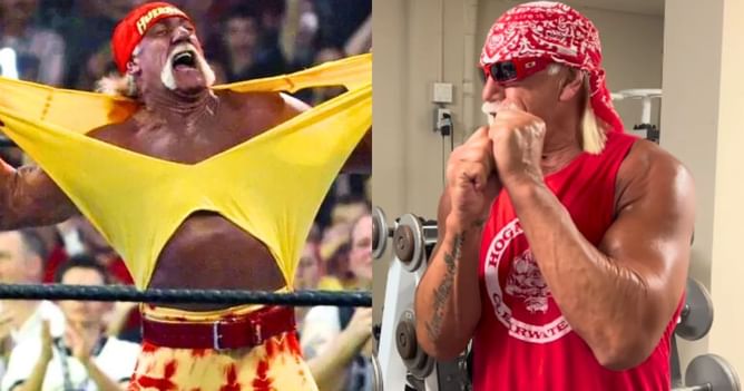 WWE Hall of Famer reacts to Hulk Hogan wanting to return for another match, confirms they recently spoke to each other (Exclusive)