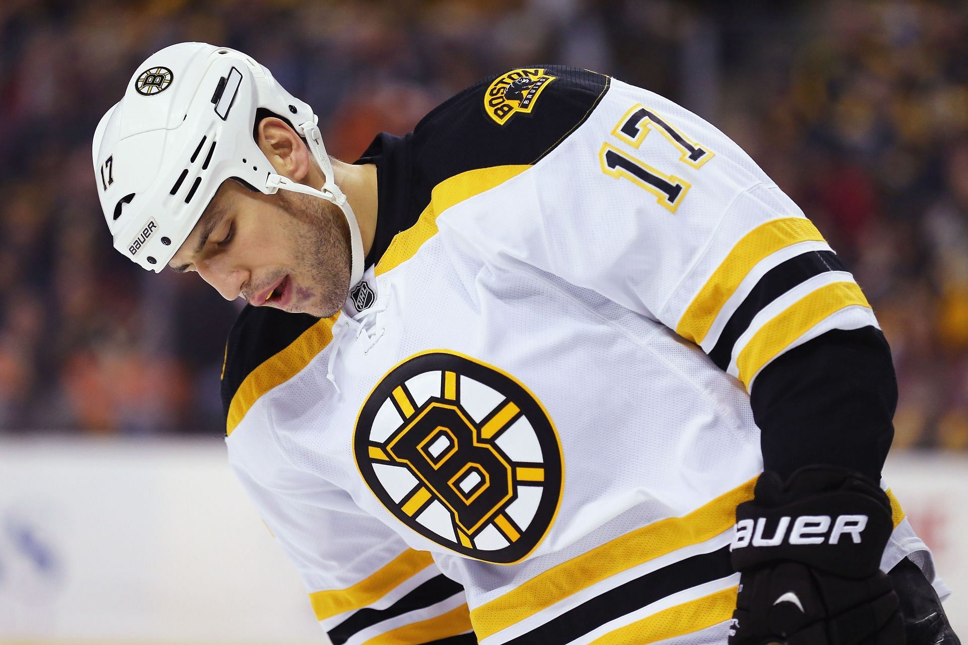 Loooch!' heads back to Boston to re-join Bruins