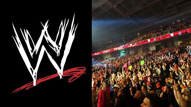 Female WWE star who was released after an injury, speaks out against company; says it made women develop eating disorders
