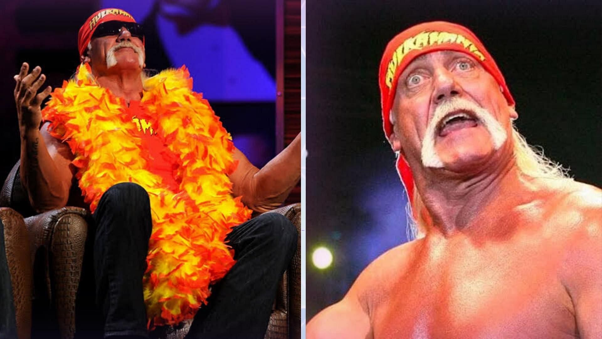 Hulk Hogan is one of the longest reigning WWE World Champion.