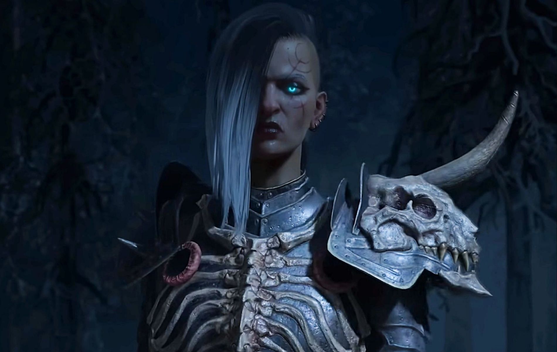 Necromancers are the masters of death and time (Image via Blizzard Entertainment)