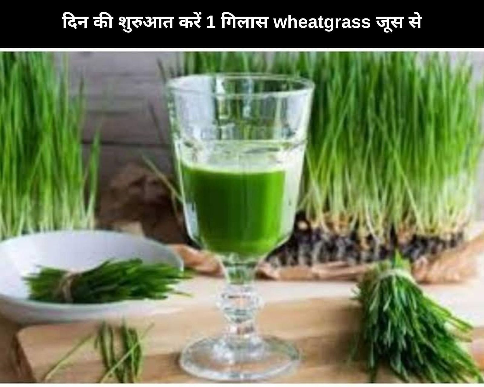 दिन की शुरुआत करें 1 गिलास wheatgrass जूस से (फोटो - sportskeedaहिन्दी)