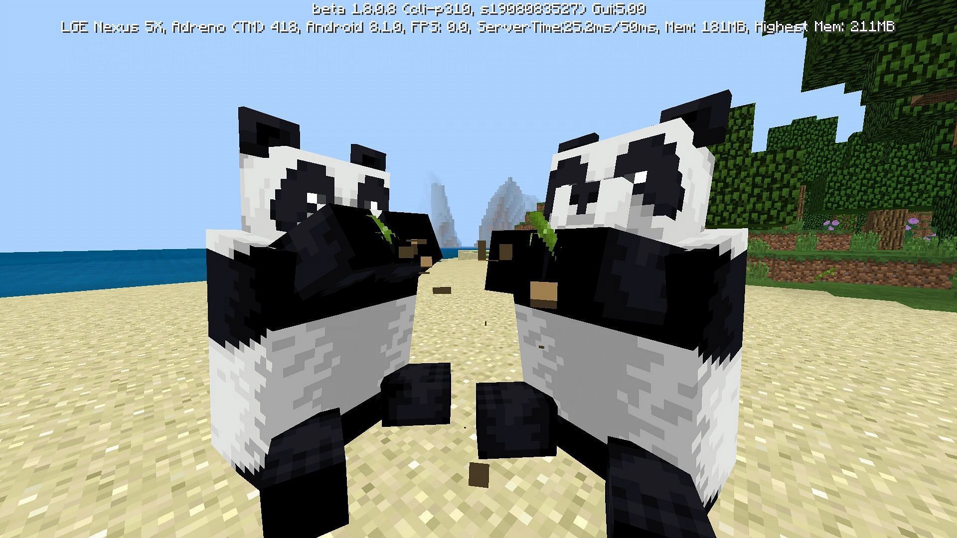 Pandas should not be close to each other while you feed them in Minecraft (Image via Mojang)