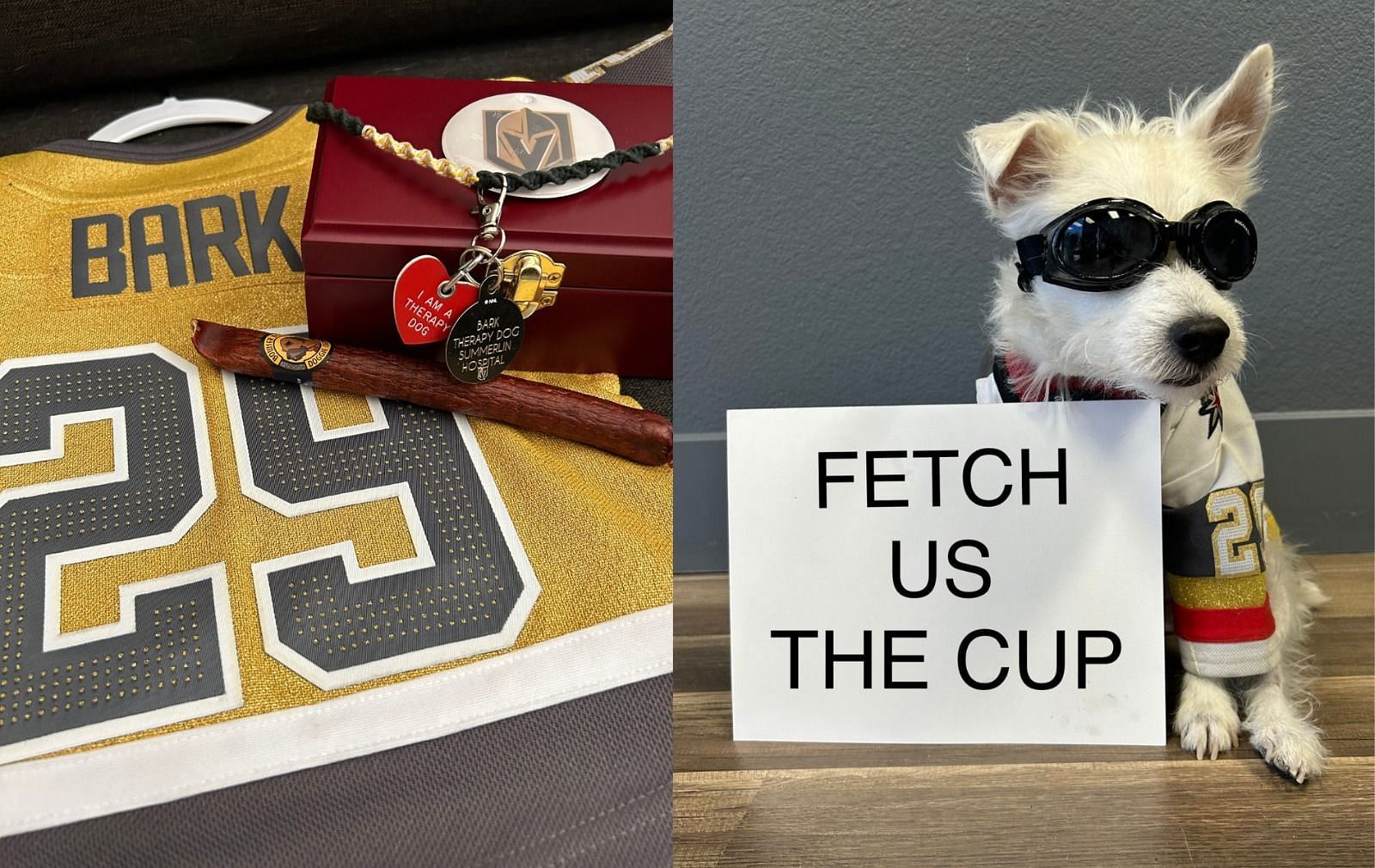 Bark-Andre Furry, Vegas Golden Knights unofficial team dog passed away before Game 1 of Stanley Cup Finals