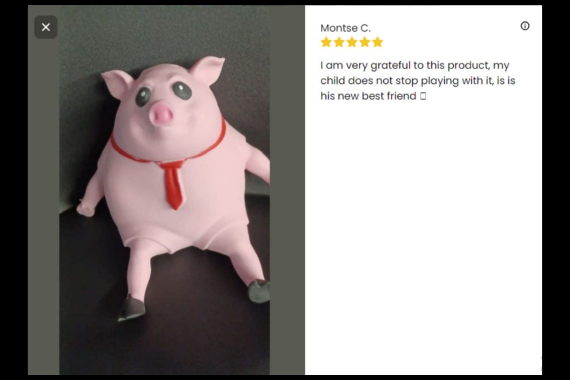 Customers review Porky Splash&#039;s viral Piggy Squeeze Toy. (Image via Porky Splash)