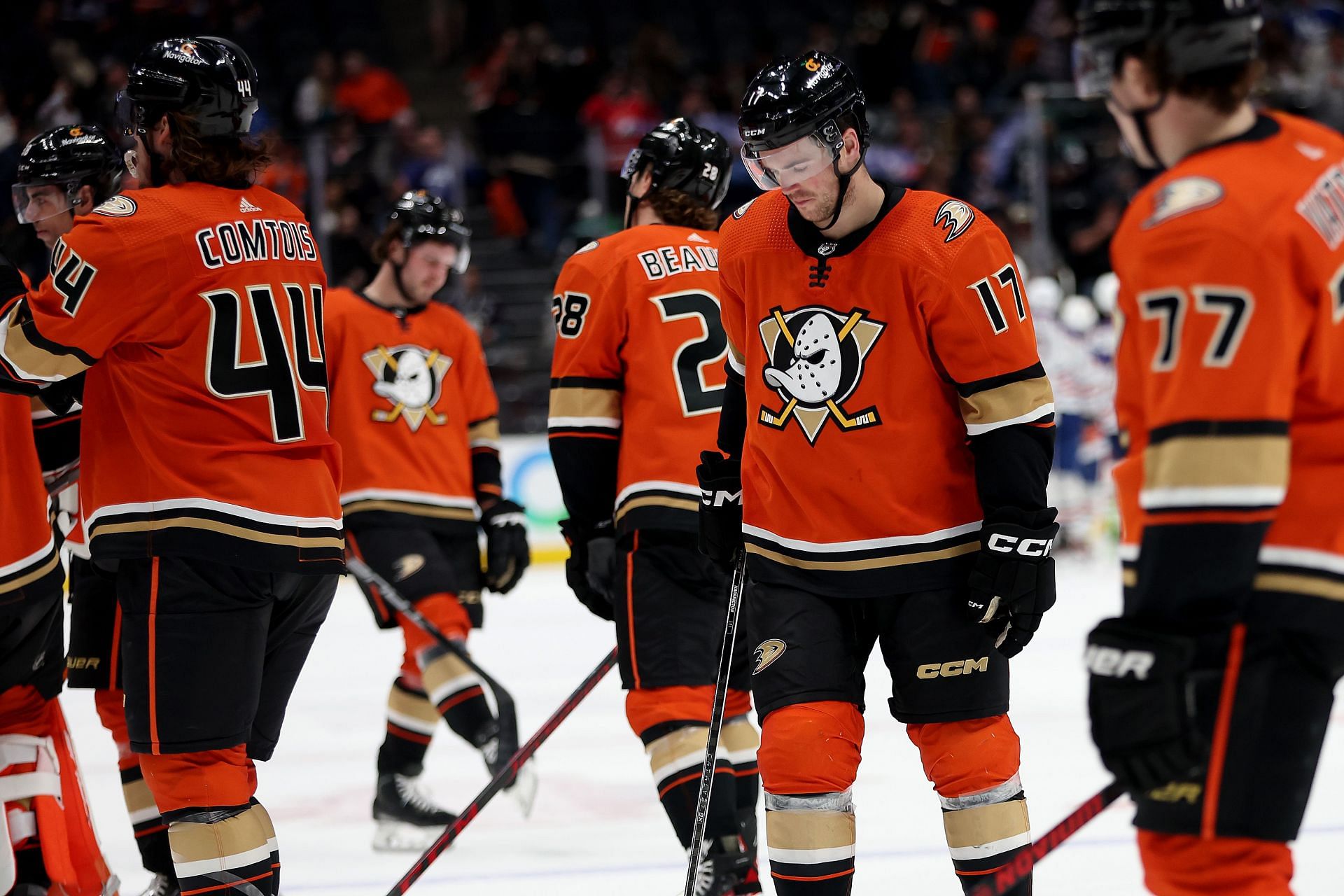 Greg Cronin can fix a underperforming Anaheim Ducks squad