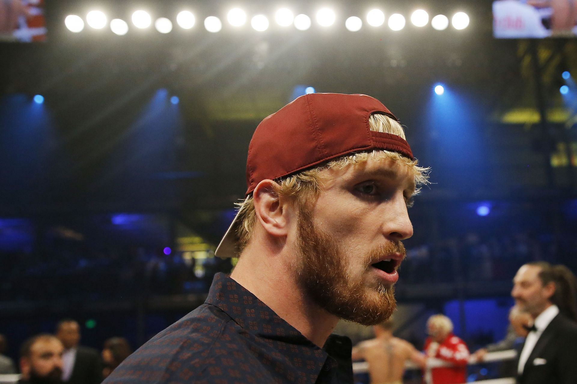 Logan Paul will likely return to the WWE ring soon.