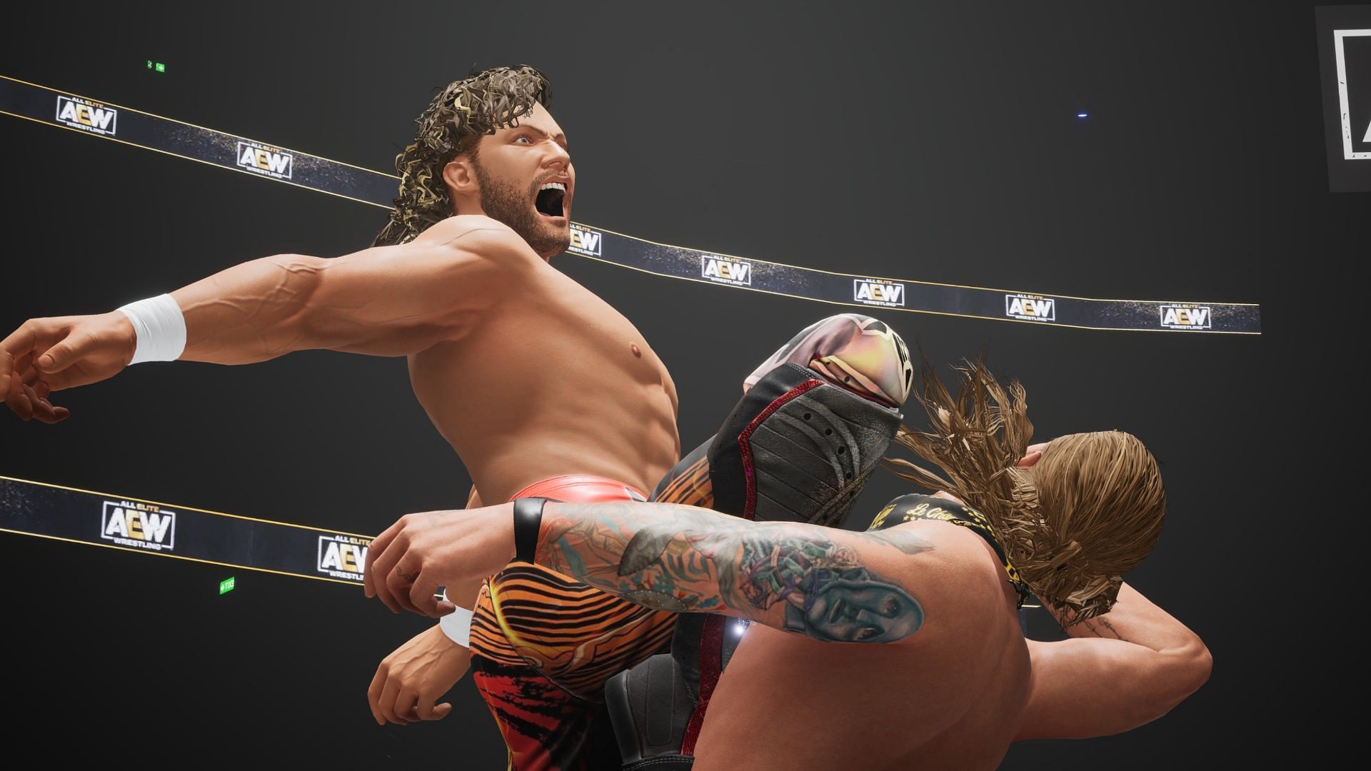 AEW: Fight Forever content editons and pre-order bonuses explored (image via THQ Nordic)