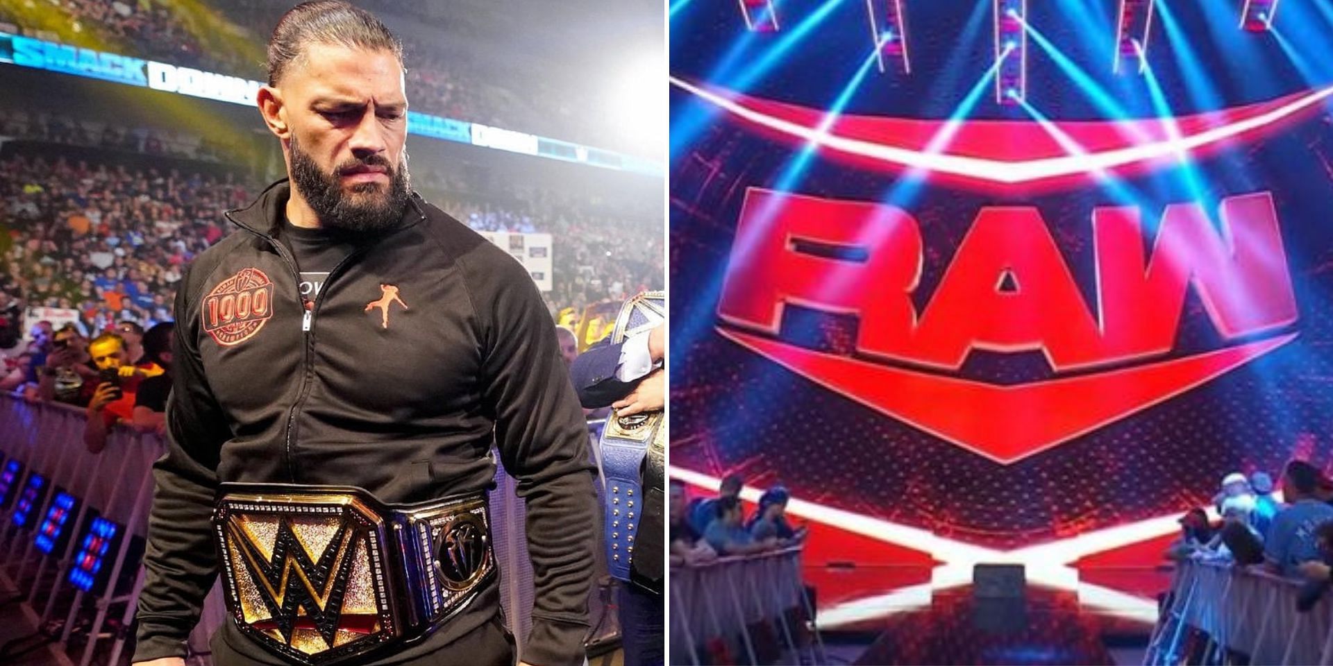 A wrestling veteran has commented on Roman Reigns