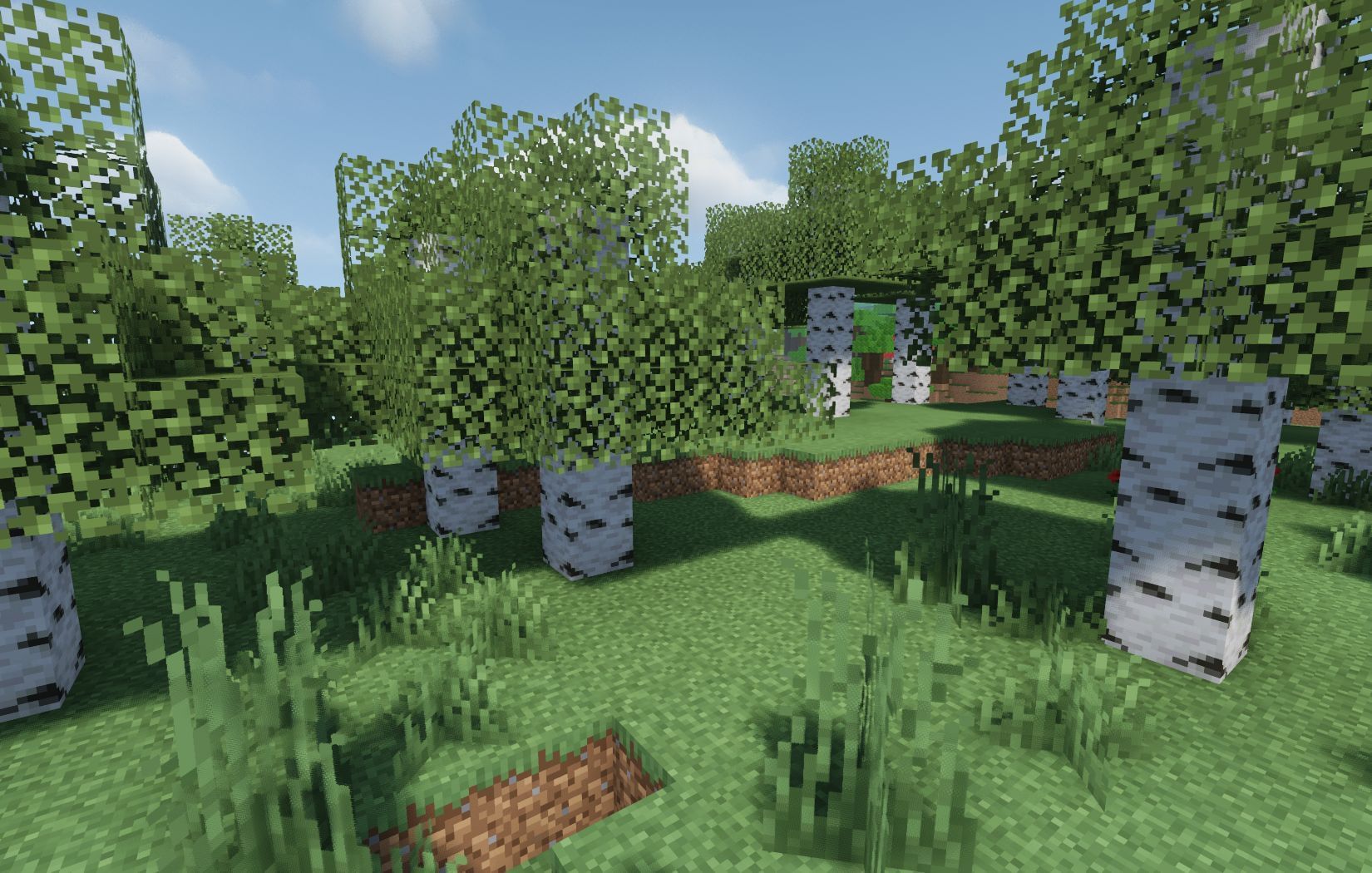 Distinctive birch trees (Image via Mojang)