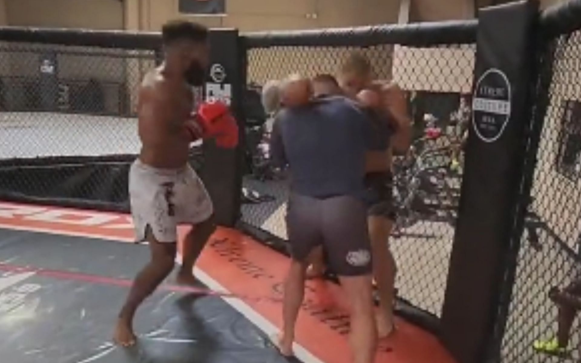 Sean Strickland sparring with two opponents [Photo credit: @theUG- Twitter]
