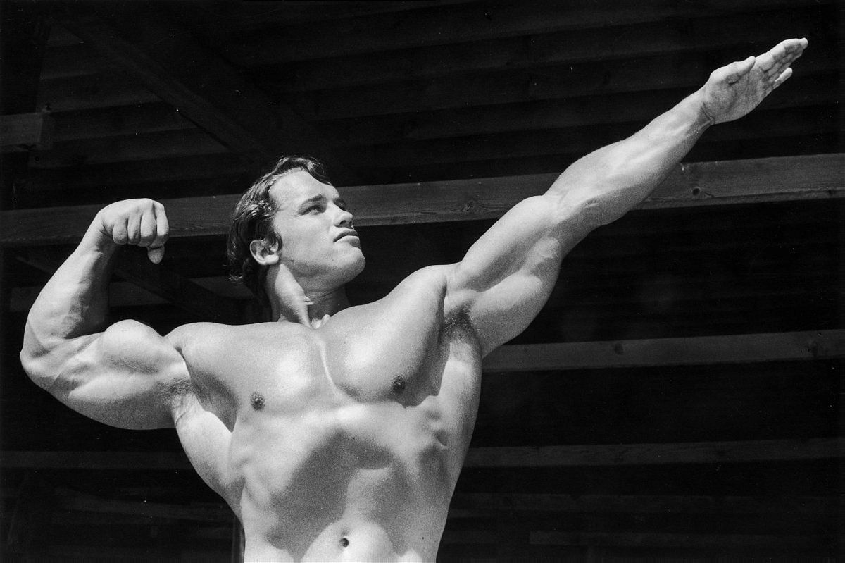 Schwarzenegger has emerged as an advocate for sustainable and health-conscious eating.(Image via Getty)