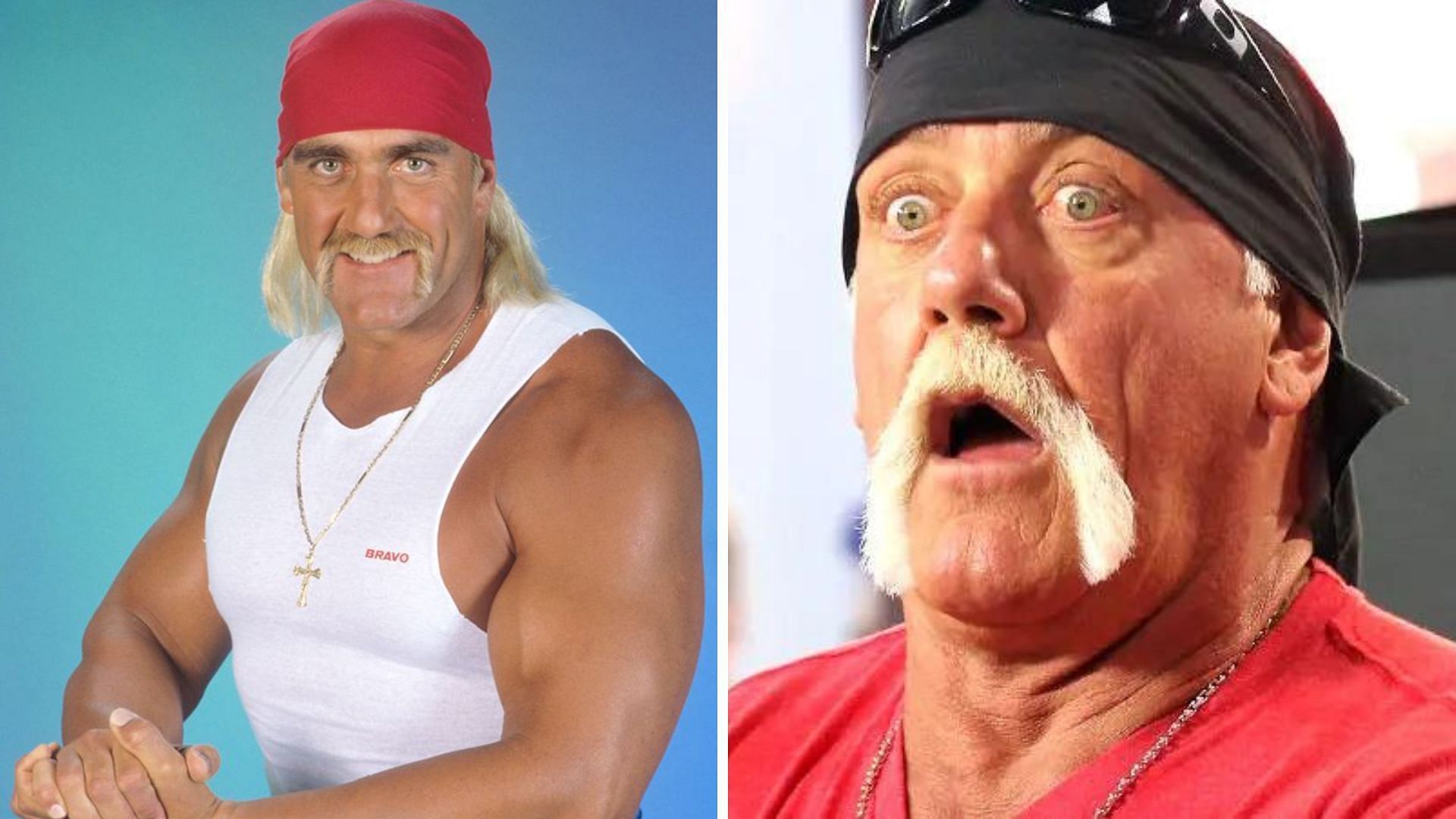 Hulk Hogan is a WWE Hall of Famer.