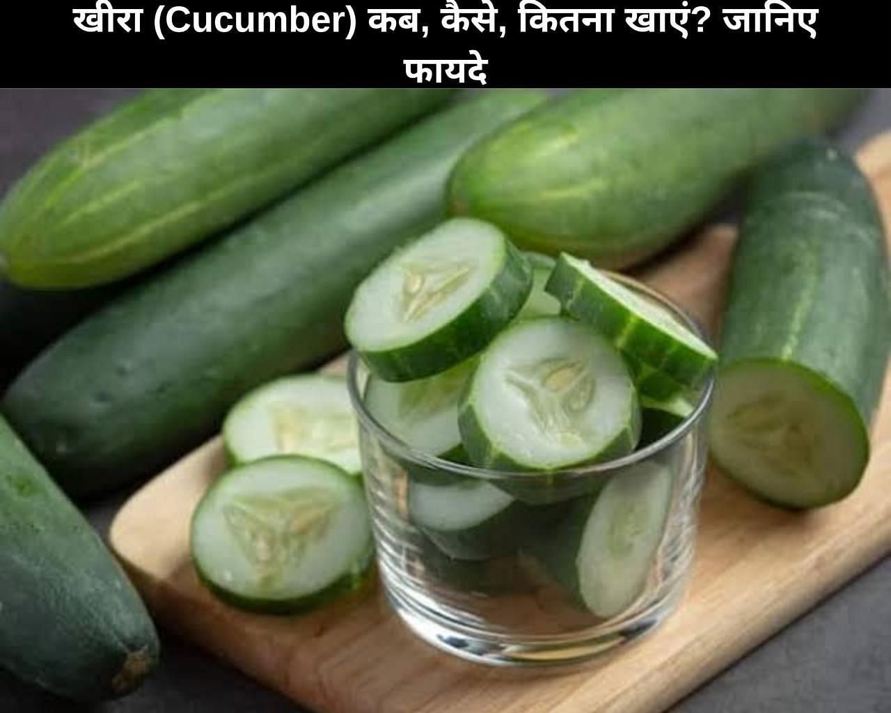 खीरा (Cucumber) कब, कैसे, कितना खाएं? जानिए 6 फायदे (फोटो - sportskeedaहिन्दी)