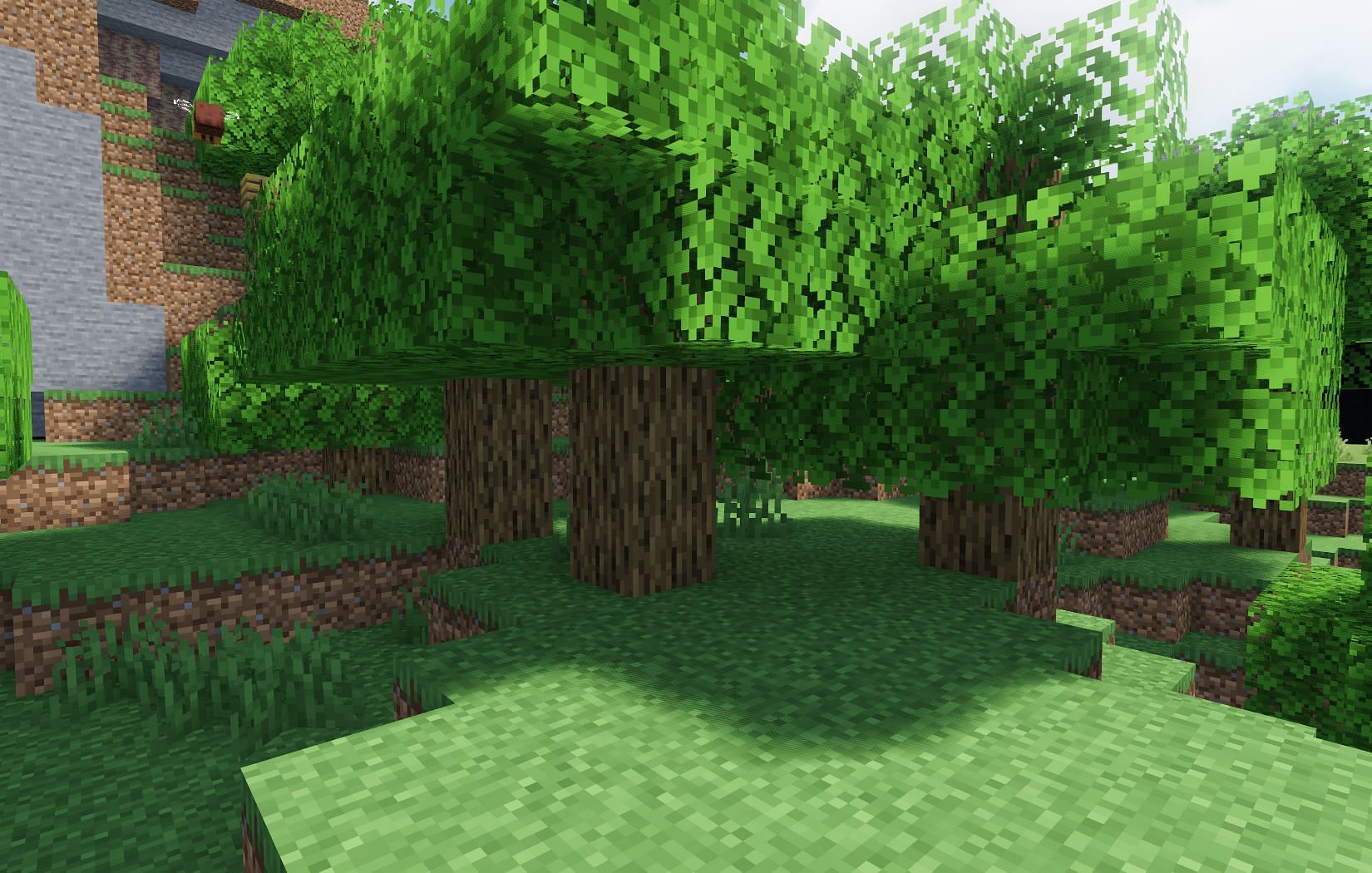 Most common Oak trees (Image via Mojang)