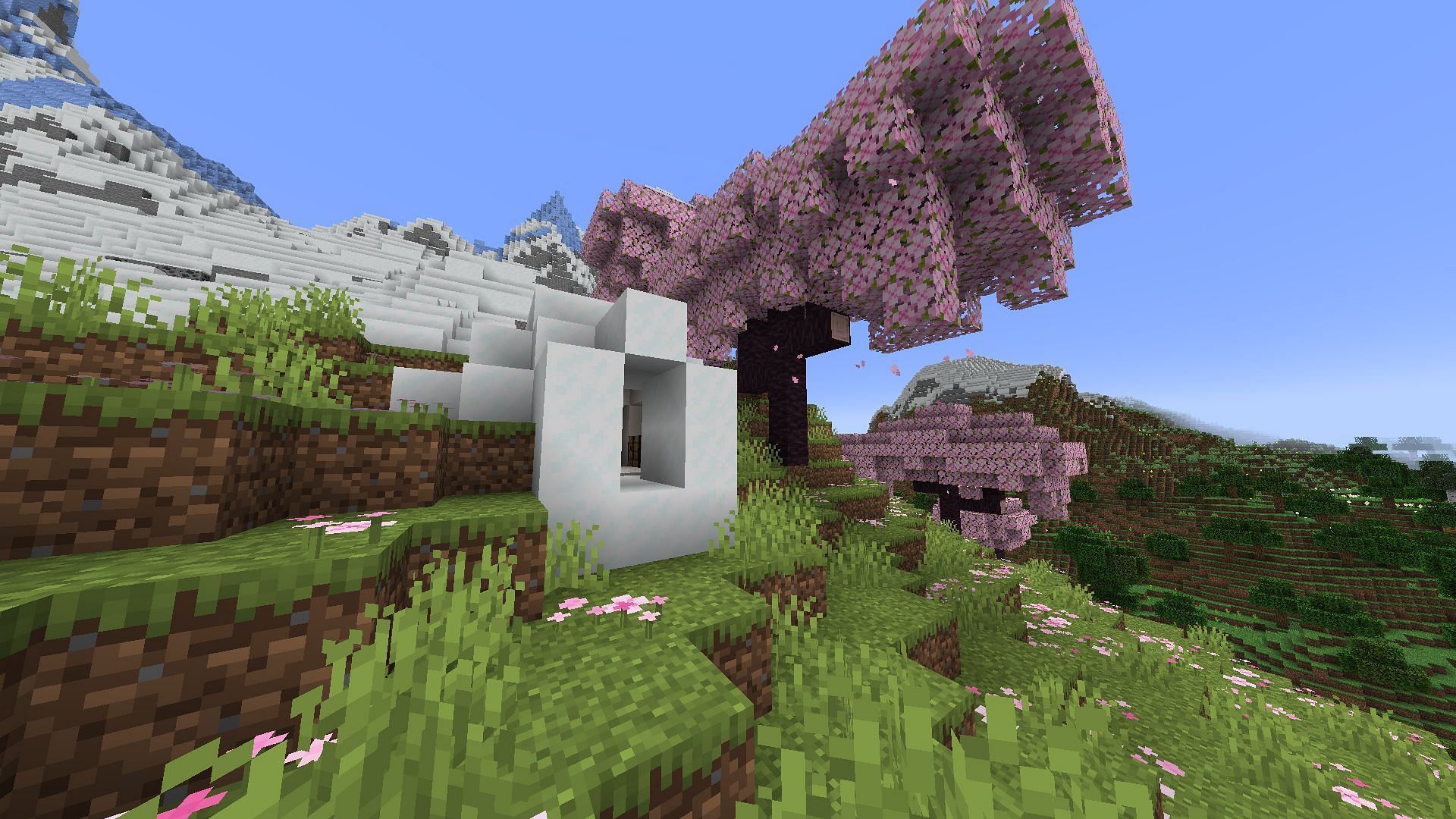 Igloo and Cherry biome at spawn (Image via Mojang)