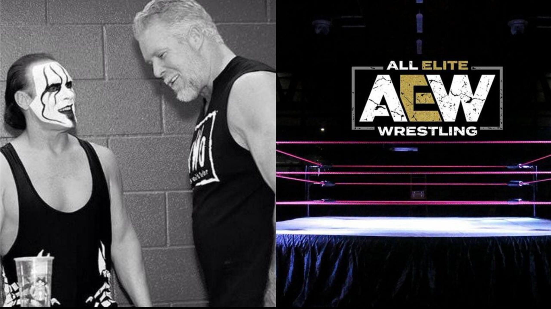 Sting and Kevin Nash are WWE Hall of Famers