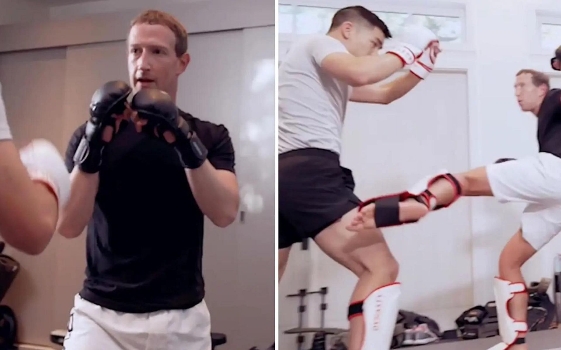 Meta CEO Mark Zuckerberg MMA training 