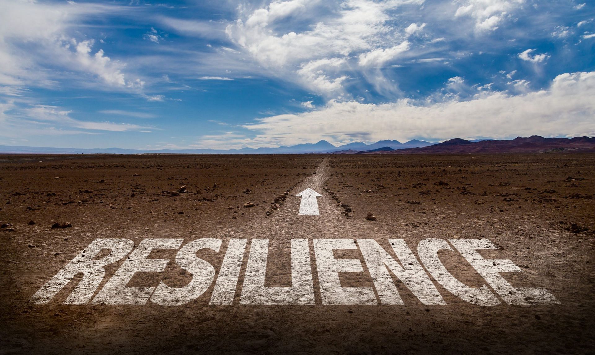 Path to Resilience