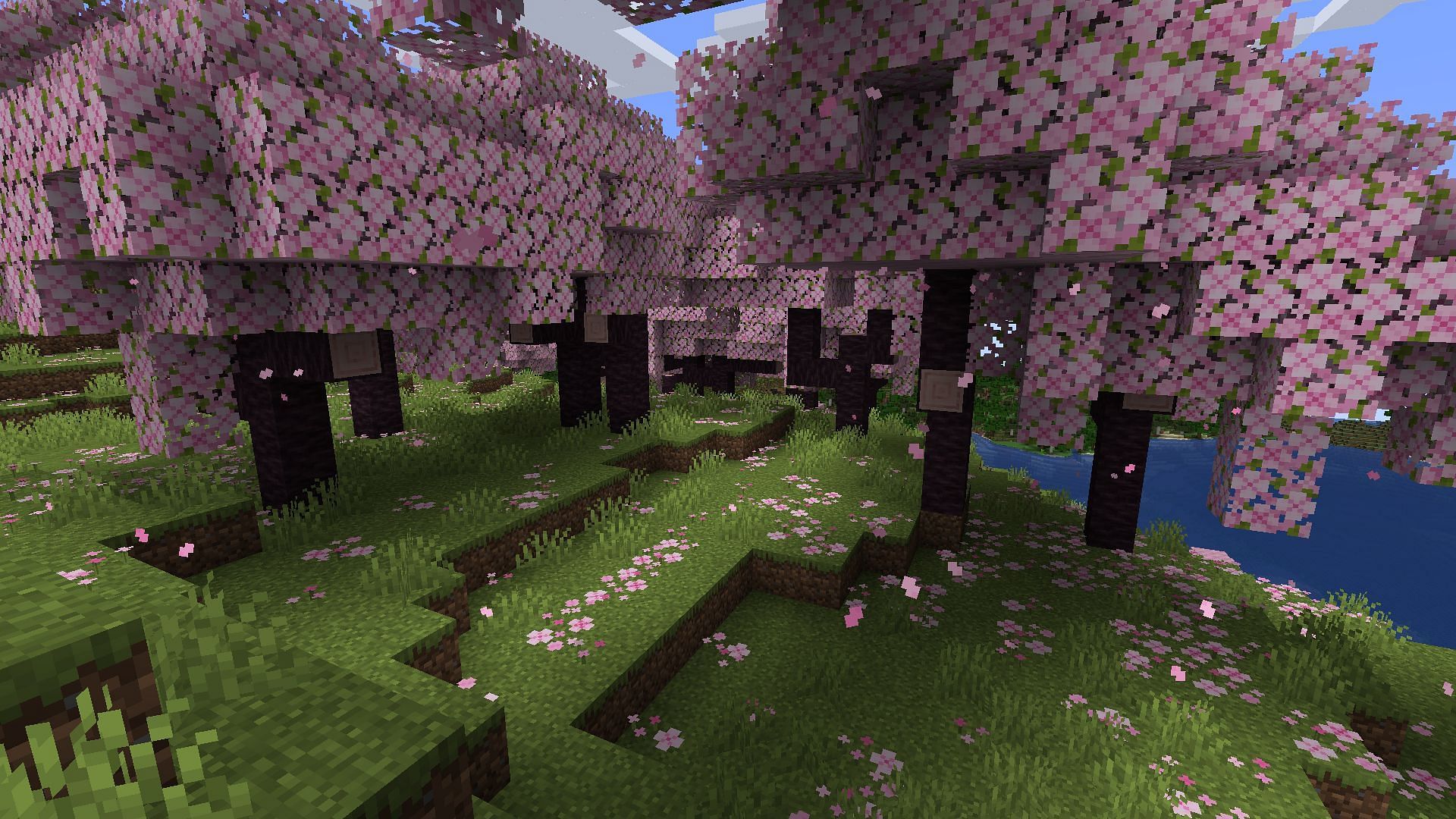 The right seed should provide Minecraft Java fans with easy access to the 1.20 update