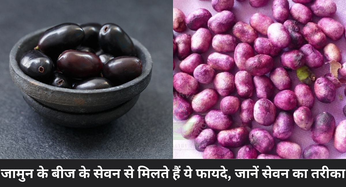जामुन के बीज के सेवन से मिलते हैं ये फायदे, जानें सेवन का तरीका(फोटो-Sportskeeda hindi)
