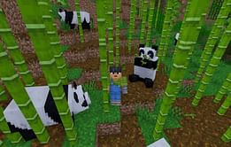 What do pandas eat in Minecraft?