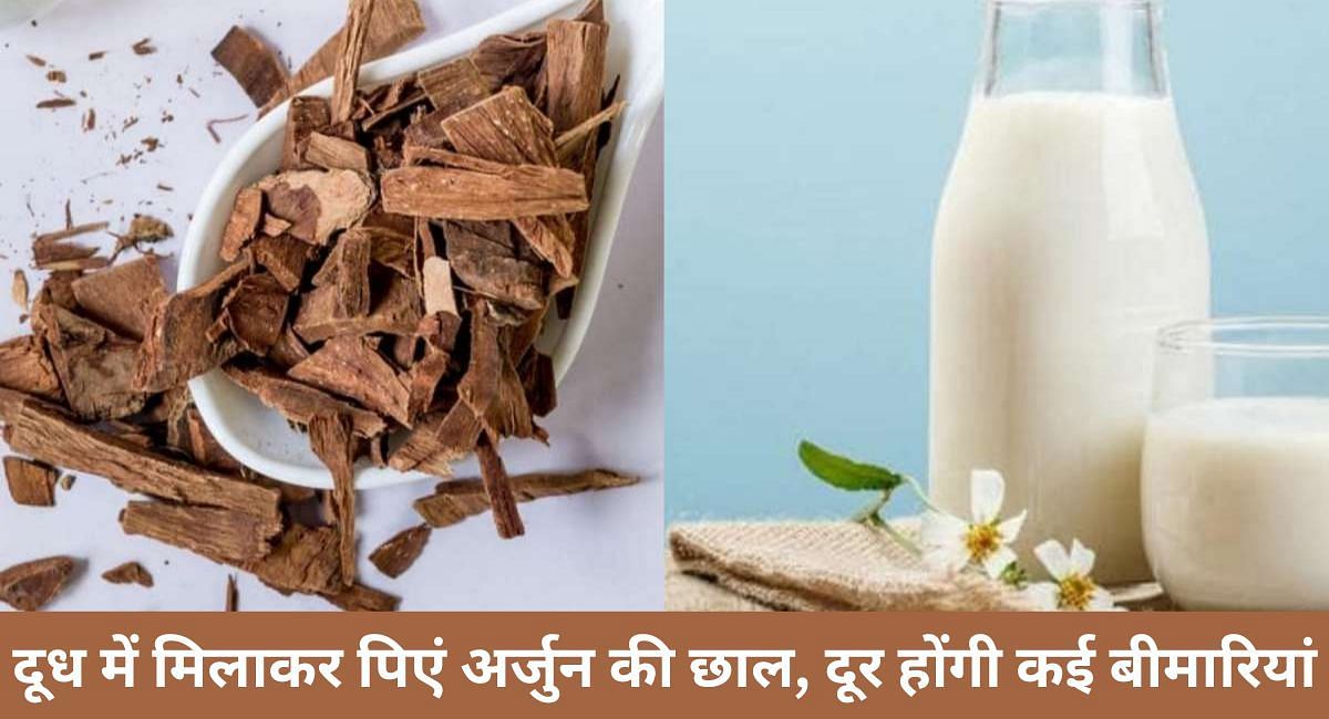 दूध में मिलाकर पिएं अर्जुन की छाल, दूर होंगी कई बीमारियां(फोटो-Sportskeeda hindi)
