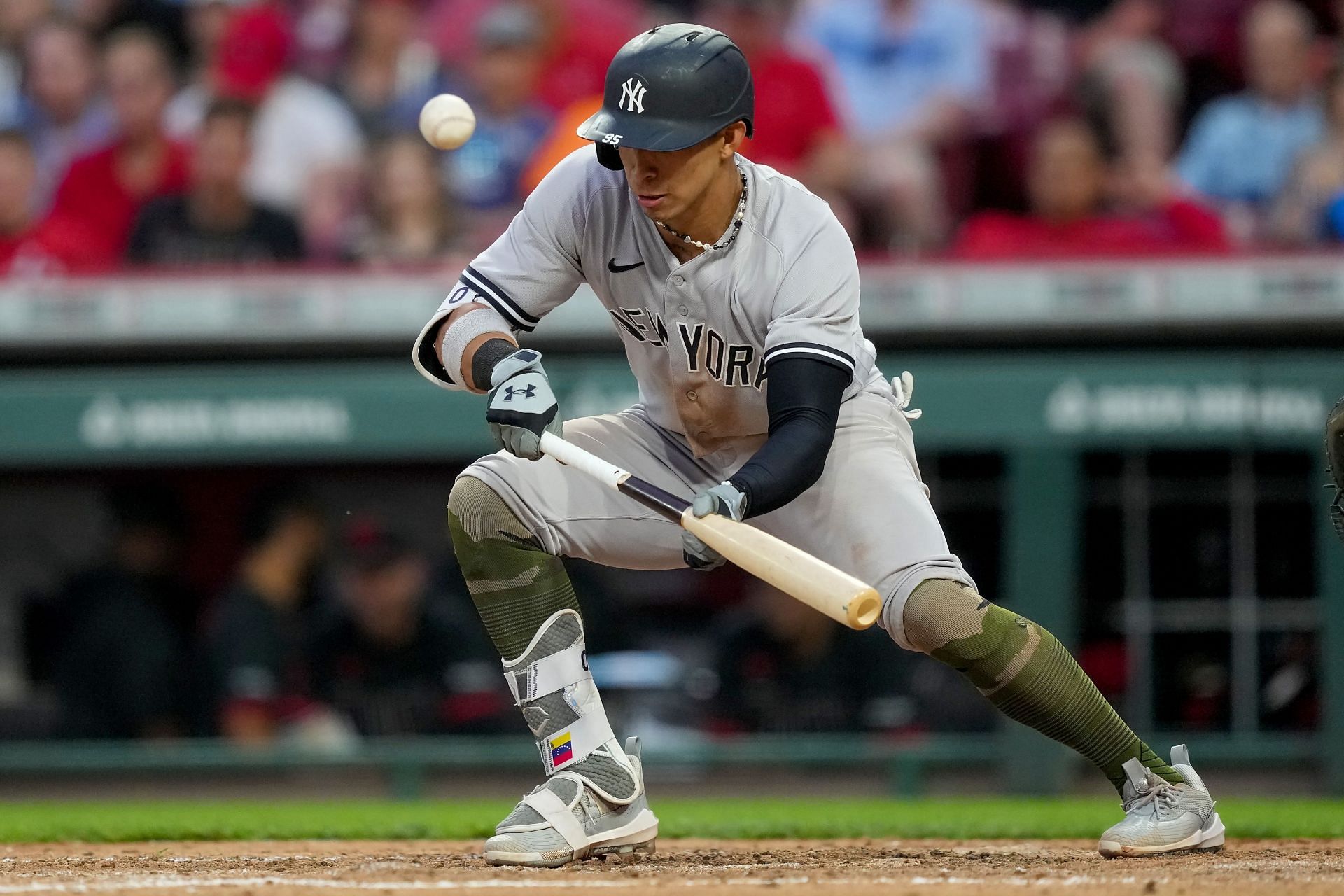 Oswaldo Cabrera of the New York Yankees bunts for a single in the seventh inning against the Cincinnati Reds