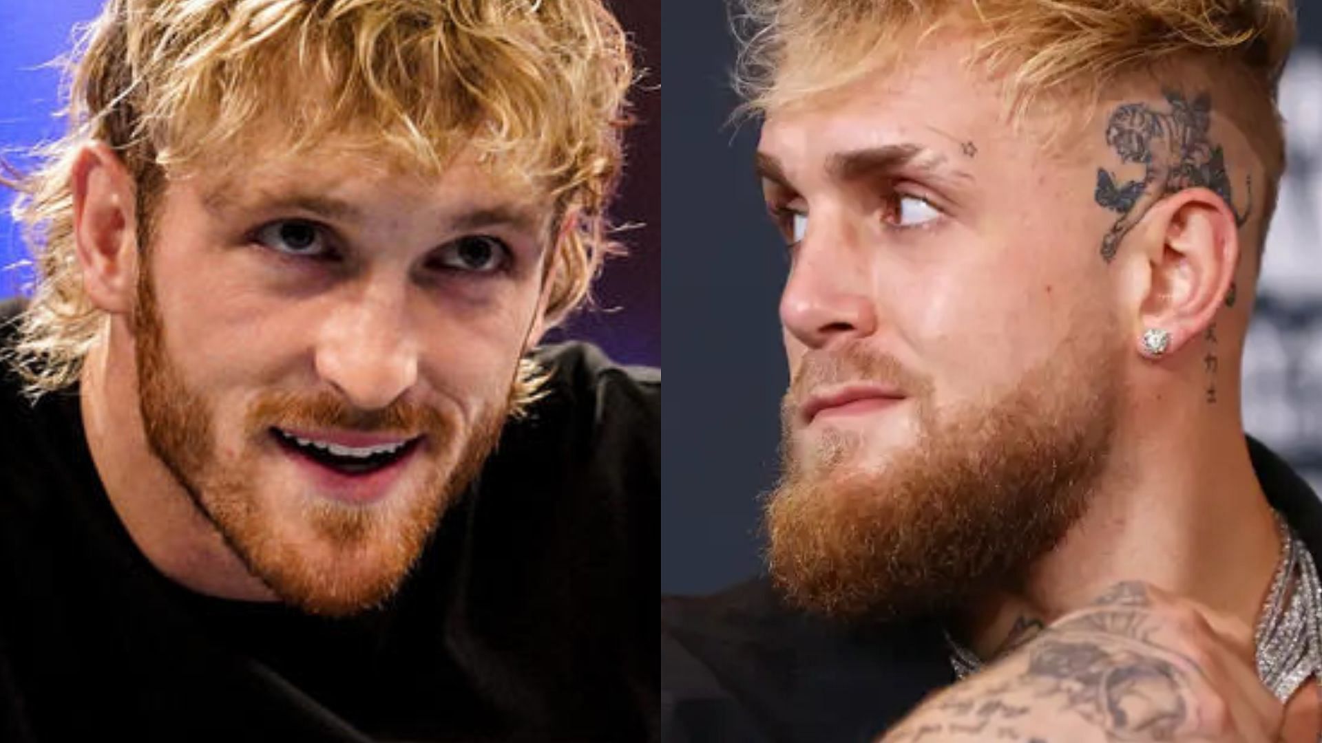 WWE Superstar Logan Paul and his brother, Jake Paul (right)