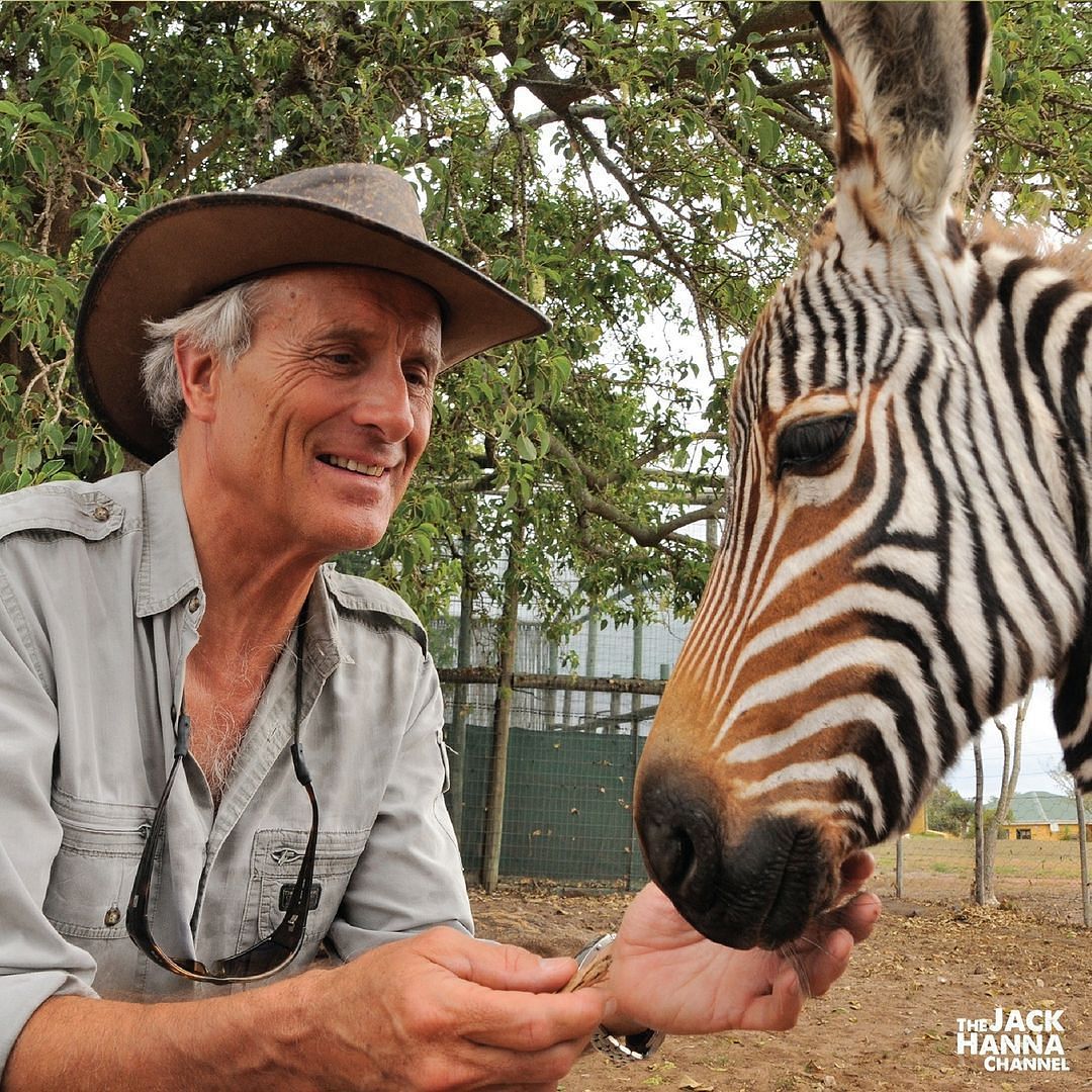 &#039;Jungle Jack&#039; was the director of Columbus Zoo. (Image via Istagram/thejackhannachannel)