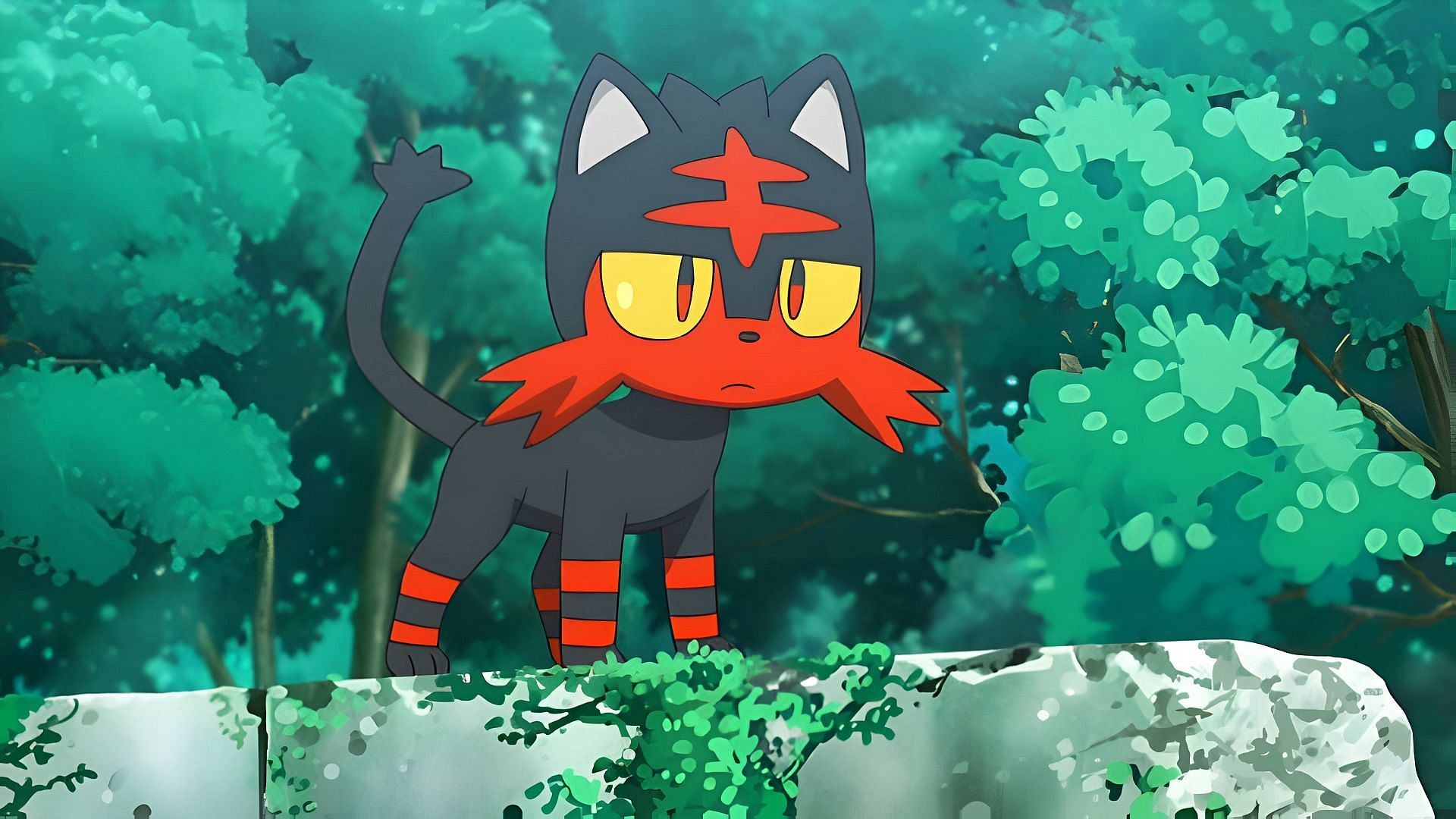 Litten in the Pokemon anime (Image via TPC)