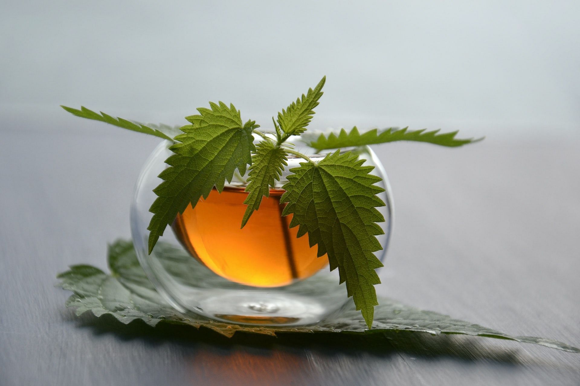 The benefits of nettle tea are numerous. (Photo via Pexels/Mareefe)