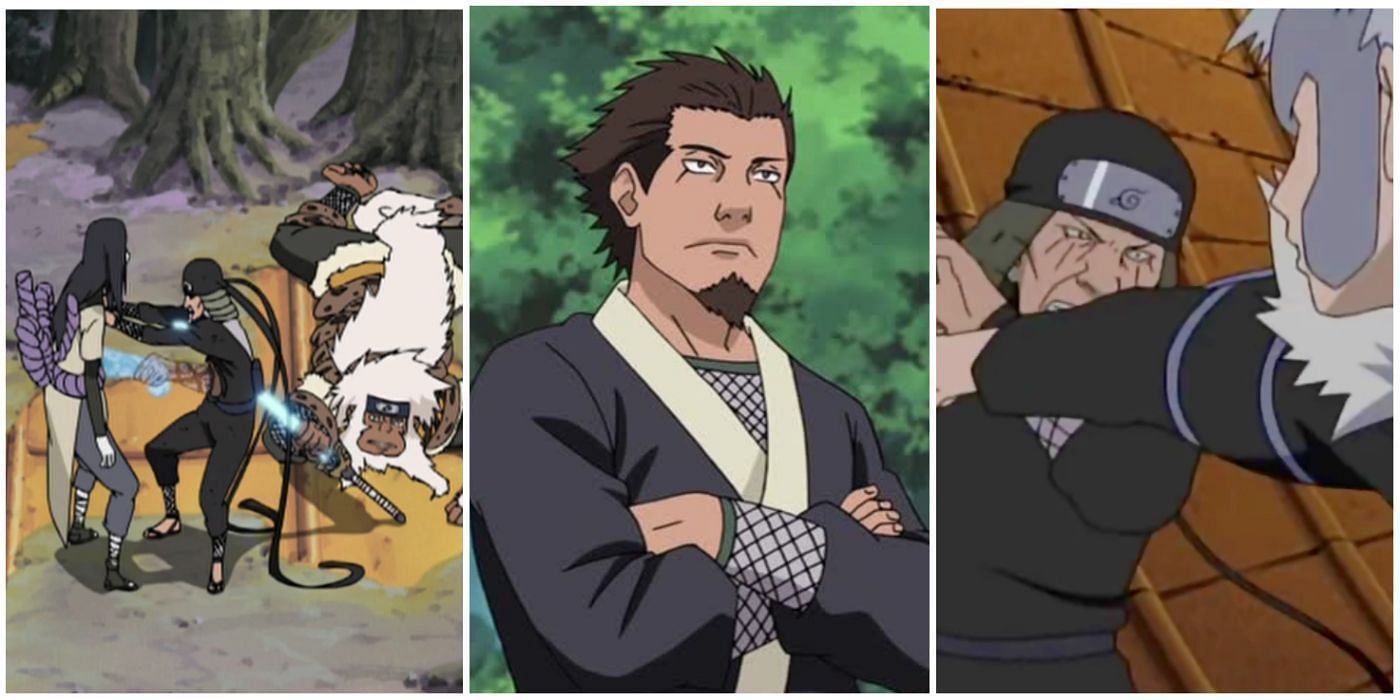 Hiruzen during different fights of his life (Image via Studio Pierrots)